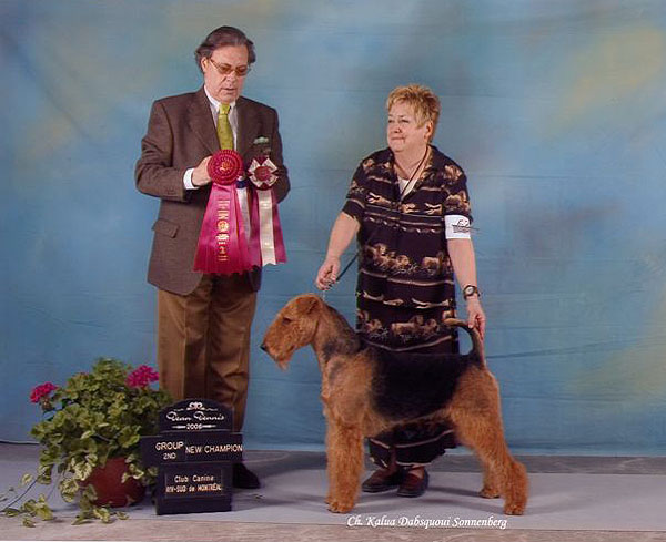 Ch. Kalua Dabsquoui Sonnenberg