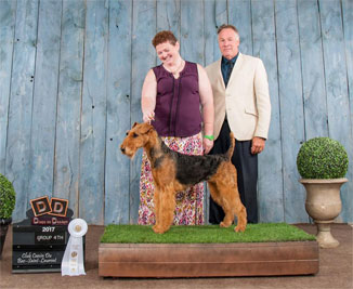 Gr. Ch. Kalua Dabsquoui La Margeline