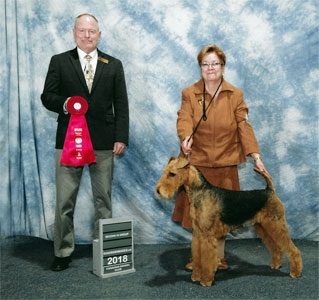 Ch. Kalua Dabsquoui Nigel