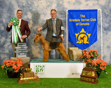 Gr. Ch. Kalua Dabsquoui Penelope