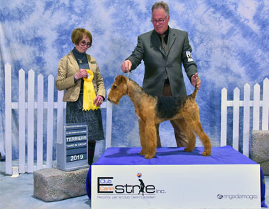 Gr. Ch. Kalua Dabsquoui Penelope