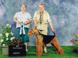 Ch. Kalua Dabsquoui Papaoutai