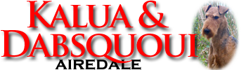 Airedale KALUA & DABSQUOUI - airedalequebec.com - 
